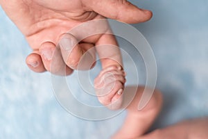 Baby`s hand holding finger