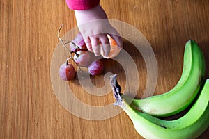 Baby s hand manipulating different fruits on a wooden table