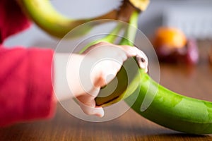 Baby s hand manipulating different fruits on a wooden table