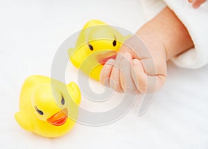 Baby's hands and duck toys