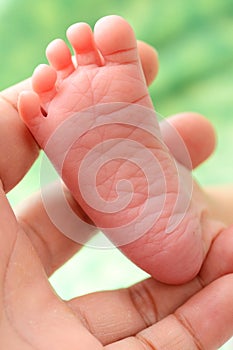 Baby s Small Foot and Dad s Hand