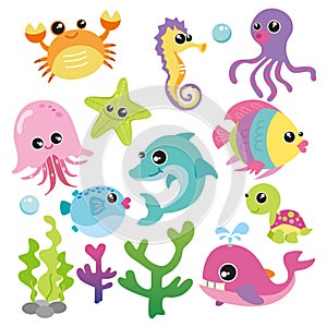 Baby Sea Creatures