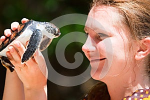 Baby sea turtle