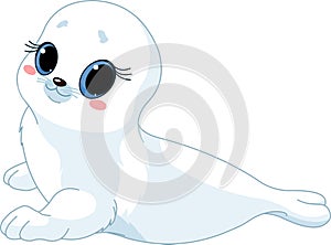 Baby seal