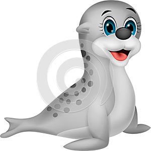 Baby seal cartoon photo