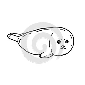 Baby seal hand drawn black and white vector illustration