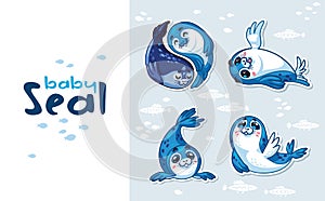 Baby Seal Sticker Collection Set