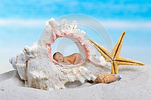 Baby in seashell