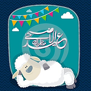 Baby Sheep for Eid-Al-Adha Celebration.