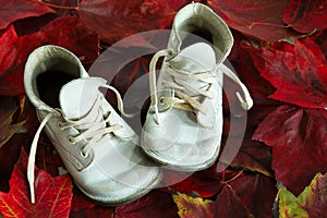 Baby Shoes Fall Leaves