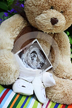 Baby shoes and teddy bear and baby ultrasound photo