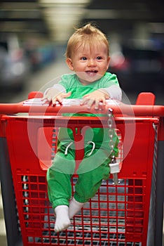 Baby in shopping cart