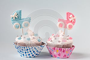 Baby shower cupcake for a girl and a boy. Newborn announcement concept