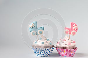 Baby shower cupcake for a girl and a boy. Twins newborn announcement. Text space