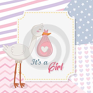 Baby shower of a girl design