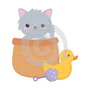 Baby shower, gray cat in the basket and duck rattle, celebration welcome newborn