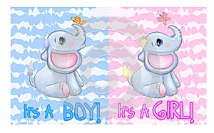 Baby Shower greeting card with Cute Elephant boy and girl