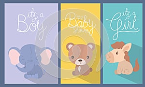 Baby shower invitation with animals cartoons vector design