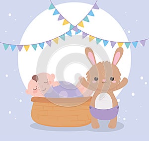 Baby shower, little boy in basket and bunny with diaper, celebration welcome newborn