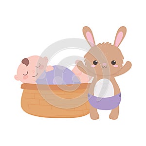 Baby shower, little boy in basket and bunny with diaper, celebration welcome newborn