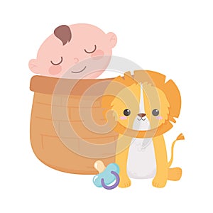 Baby shower, little boy in basket and cute lion with pacifier, celebration welcome newborn