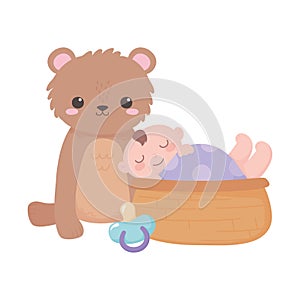 Baby shower, little boy in basket with teddy bear and pacifier, celebration welcome newborn