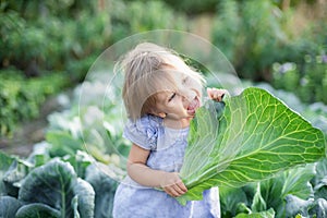 Baby sitting in cabbage plant. Cute little girl on cabbage field