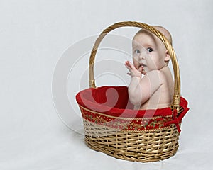 Baby sitting in Christmas Gift Basket