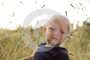 Baby sitting among the wheat. Sunset view.