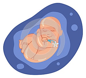 Baby sleeping in womb and smiling. Happy cartoon embryo