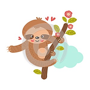 Baby sloth hanging on a branch. Vector illustration