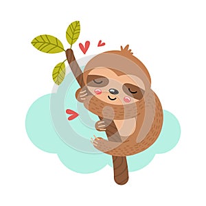 Baby sloth hanging on a branch. Vector illustration
