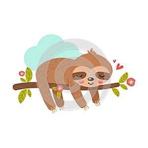 Baby sloth sleeping sweetly on a branch. Cute vector illustration