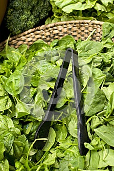 Baby Spinach in basket photo