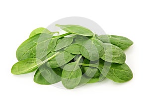 Baby spinach leaves