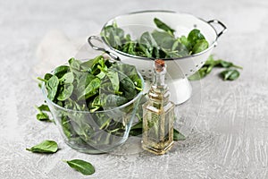 Baby spinach leaves