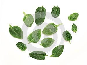 Baby spinach leaves on a white background, top view with copy space, mock up