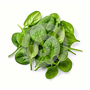 Baby Spinach with white background isolate ,- generative Ai illustration