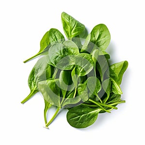 Baby Spinach with white background isolate ,- generative Ai illustration