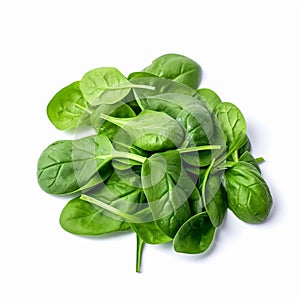 Baby Spinach with white background isolate ,- generative Ai illustration