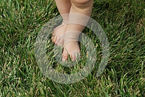 Baby standing barefoot on the green lawn