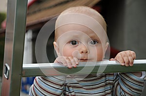 Baby on step ladder