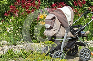 A baby stroller  in a garden with colorful flowers