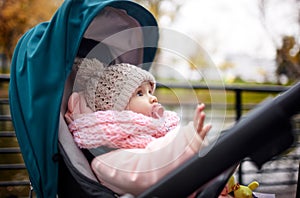 Baby in stroller on a walk in autumn park