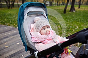 Baby in stroller on a walk in autumn park