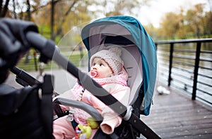 Baby in stroller on a walk in autumn park