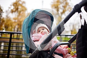 Baby in stroller on a walk in autumn park