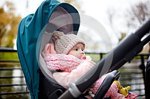 Baby in stroller on a walk in autumn park