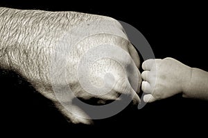 baby strong touching dad