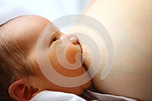 Baby sucking mother s breast